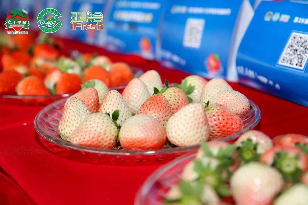 第18届中国·长丰草莓文化旅游节暨草莓小镇（网络）开园活动线上成功举办！