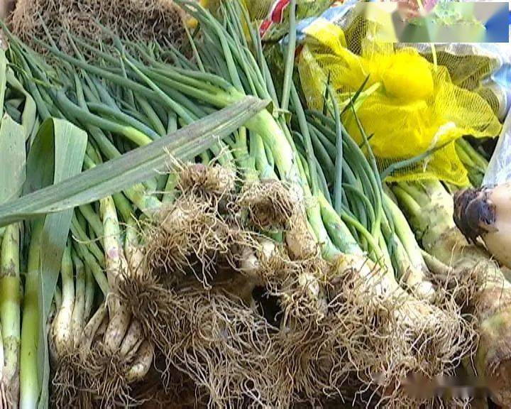 向钱葱价格飙升消费者直呼太贵了