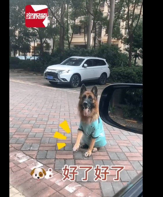 6岁小女孩指挥妈妈倒车（图）