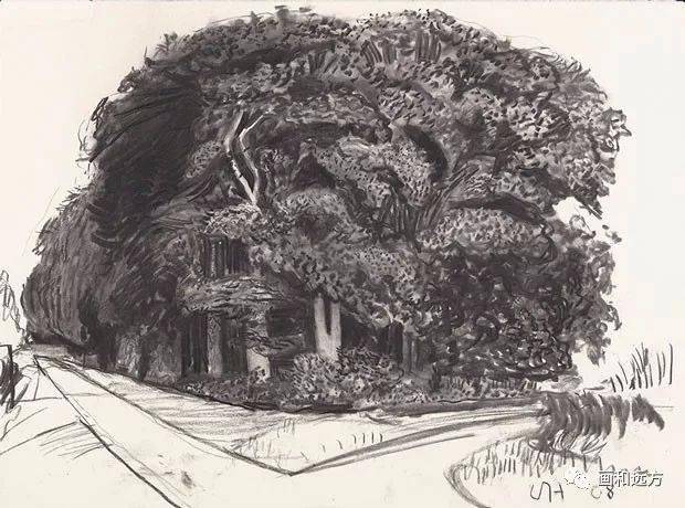 写生啦回归素描的美感大卫霍克尼素描风景作品