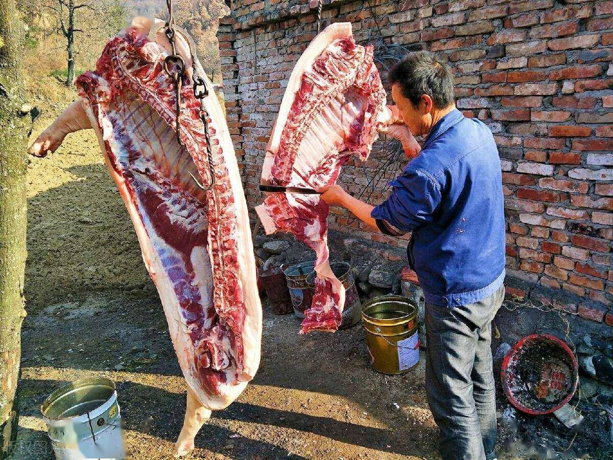 贵州农村杀猪图片