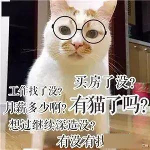 a882f955e3344dc9b5098315f179695a.jpeg