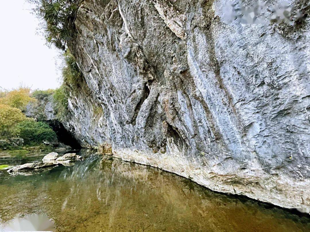 鹤庆县田屯村有多少人口_鹤庆县黄坪镇向石村(3)