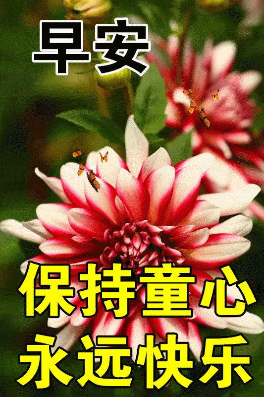 b4999d56a396497e98fa1f1c1a5e92ae.gif