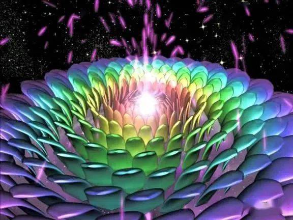 意识是一朵千瓣的莲花