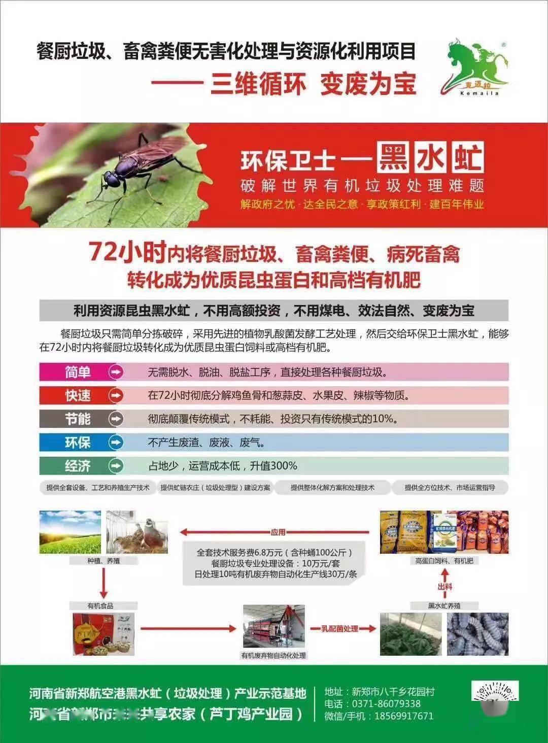 解析中国虫谷 王泽铺昆虫小的昆虫生态产业链 小镇