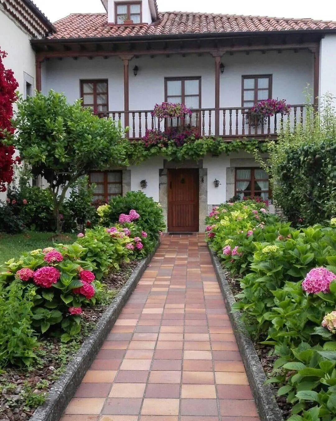 绿林干货|私家庭院里的花儿_植物