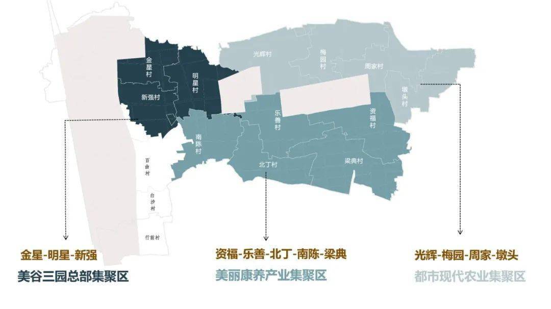 遇见乡村未来可期金汇镇乡村振兴农村资源推介