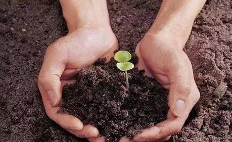 什么叫通风处 ed54b9b2159f482280c5fc55911d4ceb.jpeg