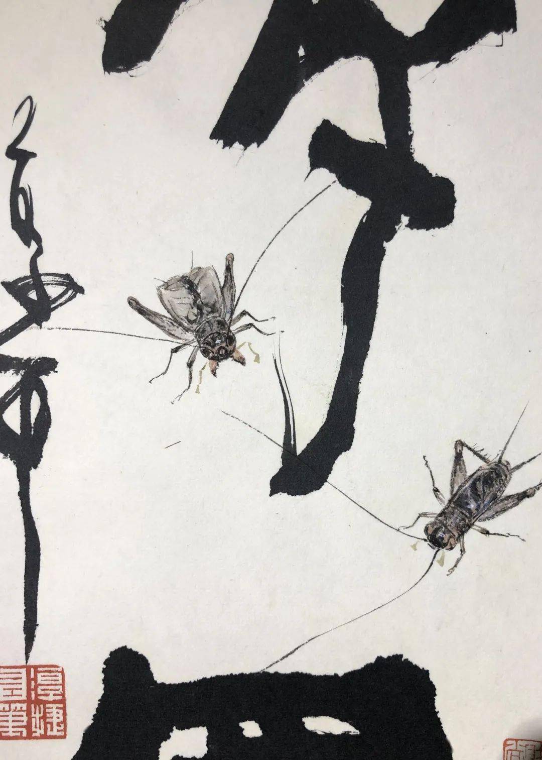 展览资讯辛丑传财声徐本健迎春蟋蟀画展将于本月拉开帷幕