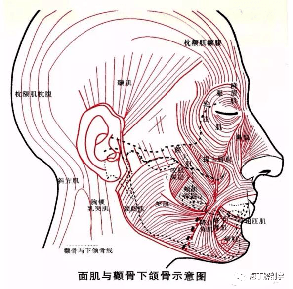 面肌痉挛症是一侧面部发生的阵发性