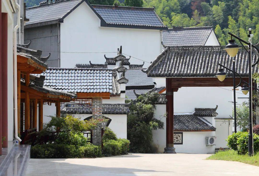 衢州市首批职工疗休养基地⑩开化县芹阳办事处桃溪村