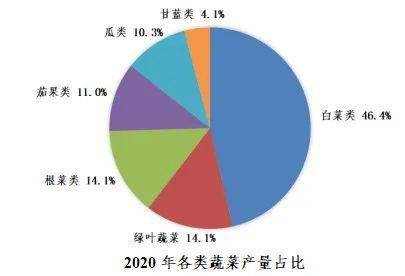 2020年蔬菜种植规模稳步提升(图5)