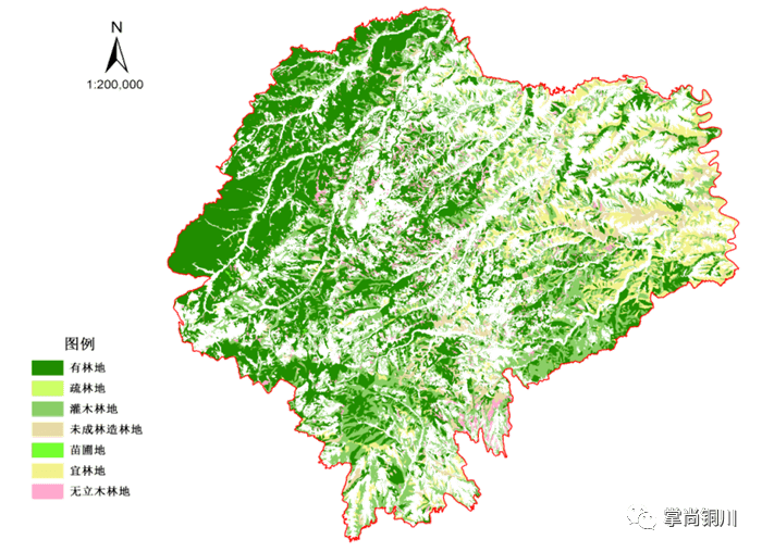 宜君县荣获首批陕西省级森林旅游示范县称号