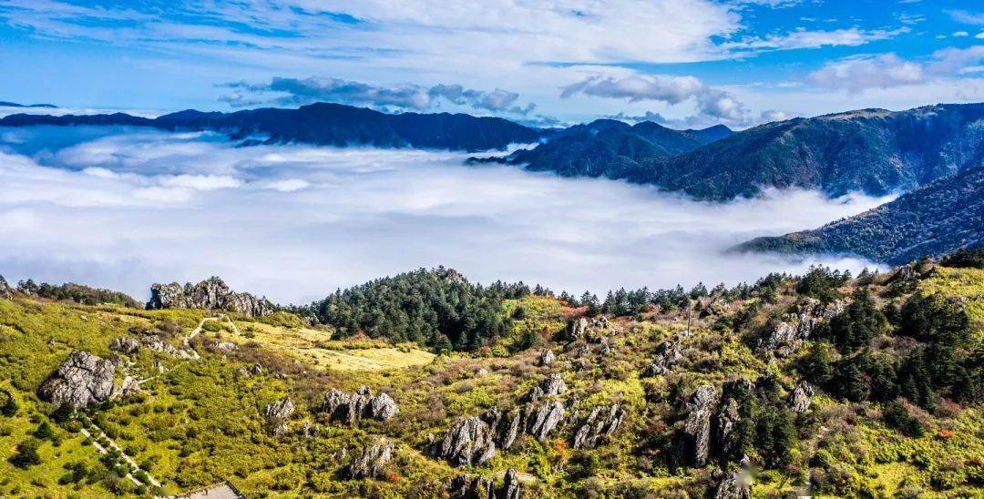 【惠游湖北】摄影作品丨神农顶壮观云海