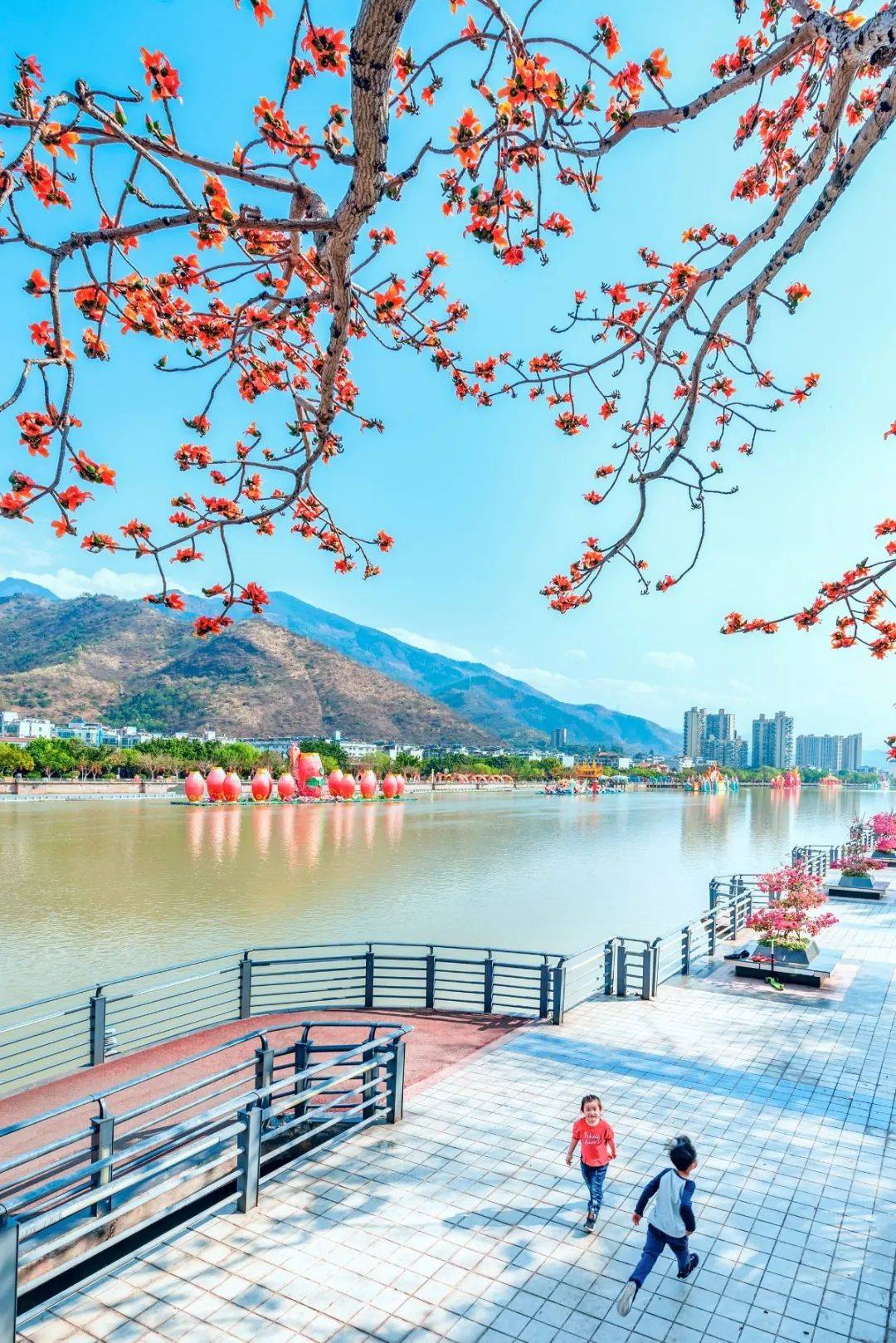 英雄攀枝花阳光康养地