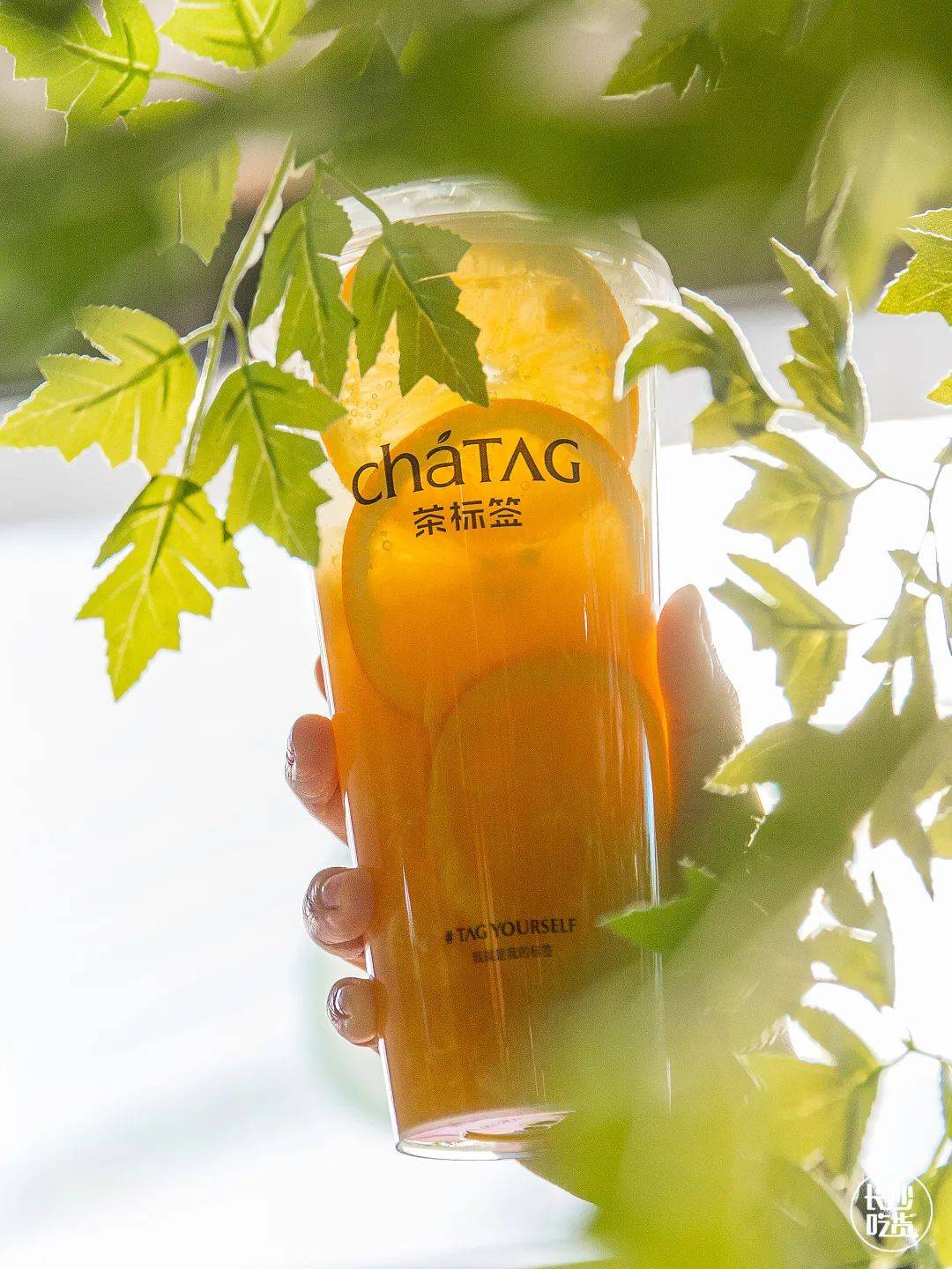 拍奶茶怎么拍高级 3e142f4531b0496f99087b3cc2e5653b.jpeg