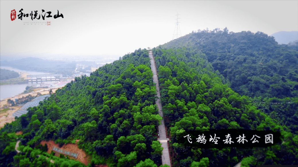 保利和悦江山背靠四会城市绿肺—3000亩飞鹅岭森林公园,无际绿林