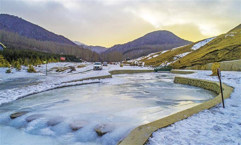 读景记丨等你,在康乐那片白桦林_景区