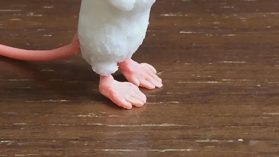 0fcde421e0814229a81979463b83ce43.jpeg