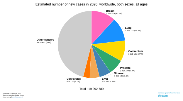 2020死亡人口达9000万_中国单身人口达2.4亿(2)