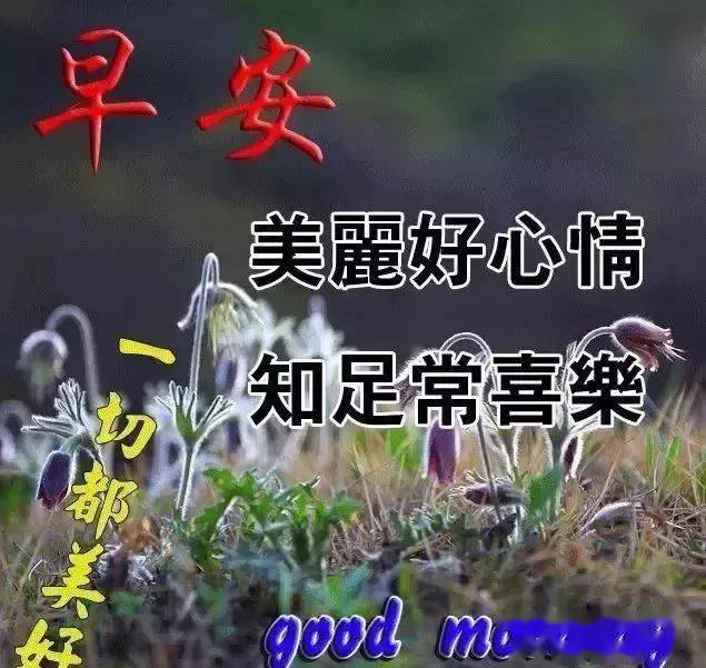 28c2b34575c54a428172ea9f45e5f28c.jpeg