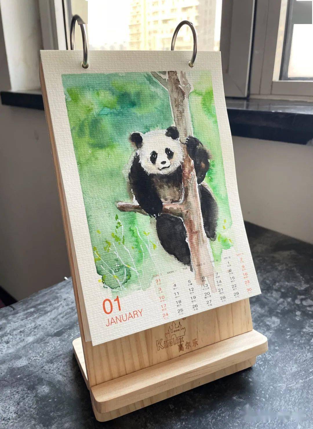 水彩手绘台历 1月份画个熊猫