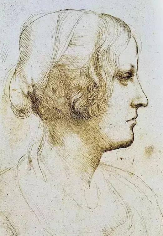 达芬奇手稿世界万物的规则