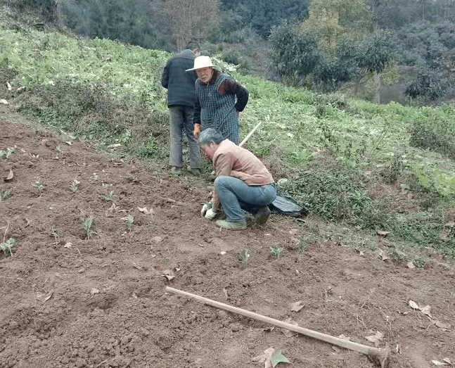 【我的脱贫故事】曾令发:贫穷不穷教育 培养子女成才_孩子
