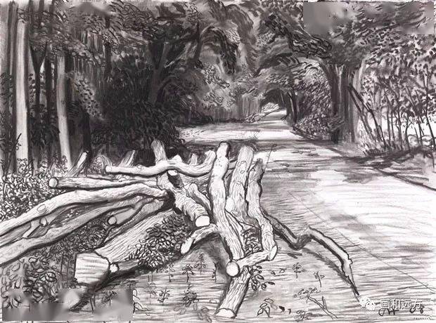 素描的美感—大卫·霍克尼素描风景作品800幅
