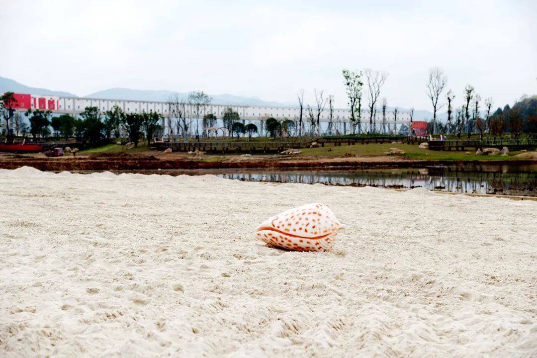 阳光 沙滩齐上阵!临江而建的这个公园即将亮相!_金堂县