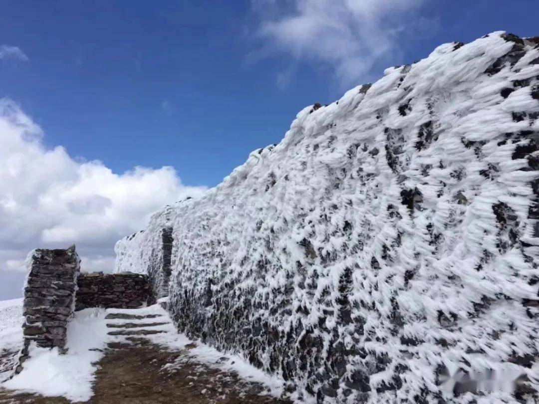 最美不过下雪天2021年的第一场雪美了香柏场也美了道人山