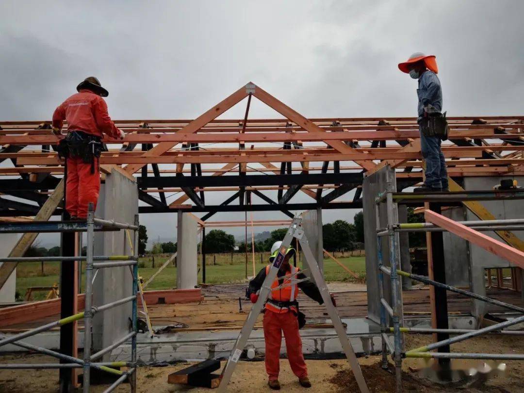 招聘新西兰时薪385纽币的木工一个月能挣多少钱呢