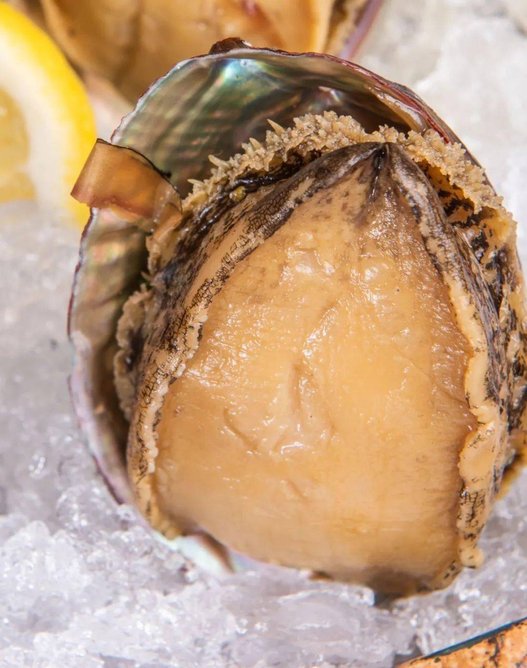 再吃鸡肉,更合适~· 石 锅 焗 深 海 燕 尾 鱼 ·来自深海的燕尾鱼