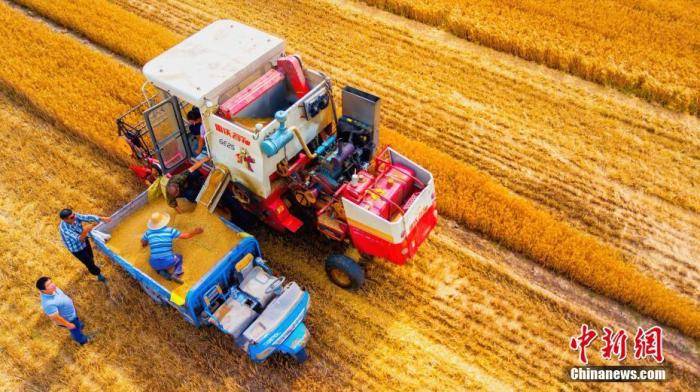 济南gdp超万亿了么_济南gdp破万亿图片(2)