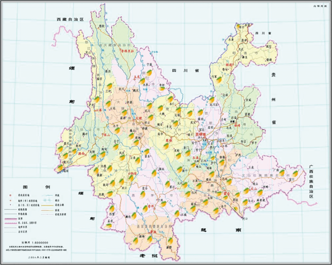 雲南省芒果產業發展現狀