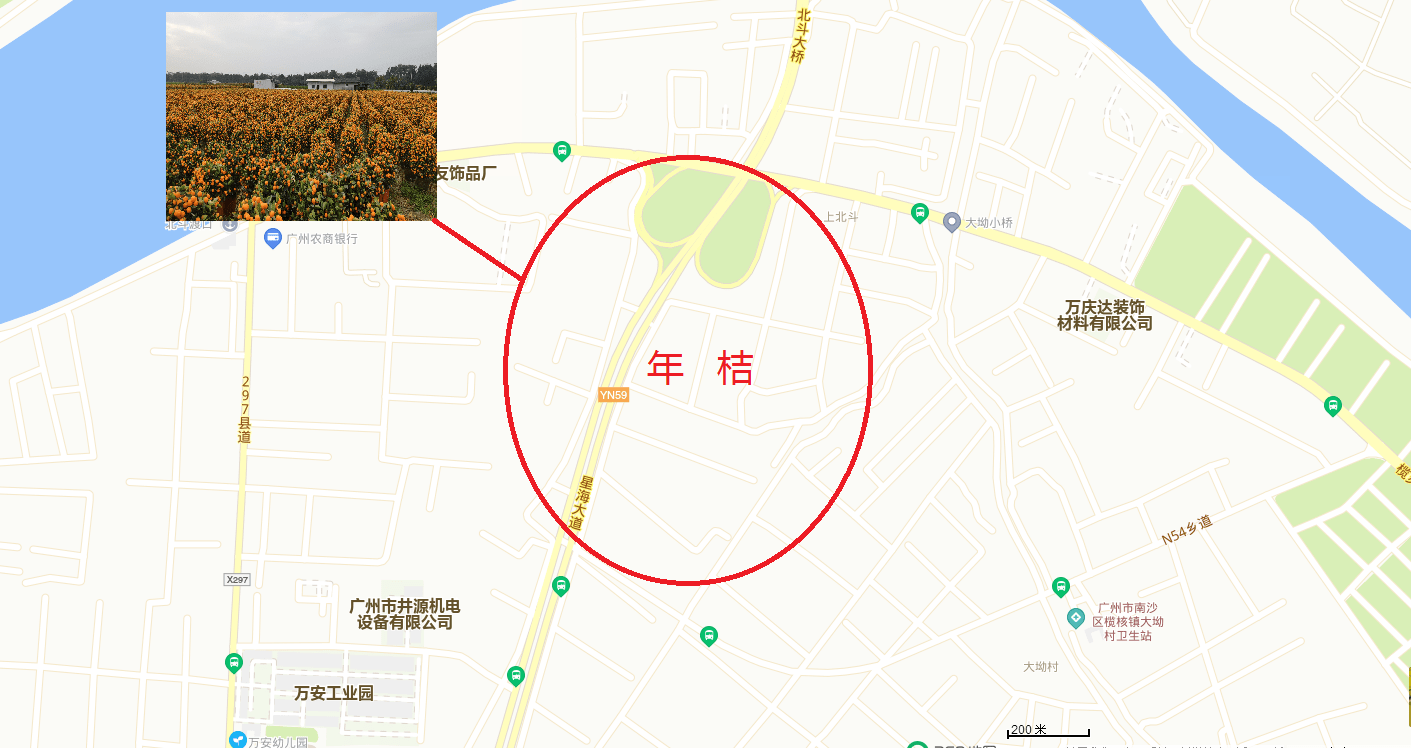 对冲疫情冲击榄核镇摆摊助农来这里可买平靓正年花年桔