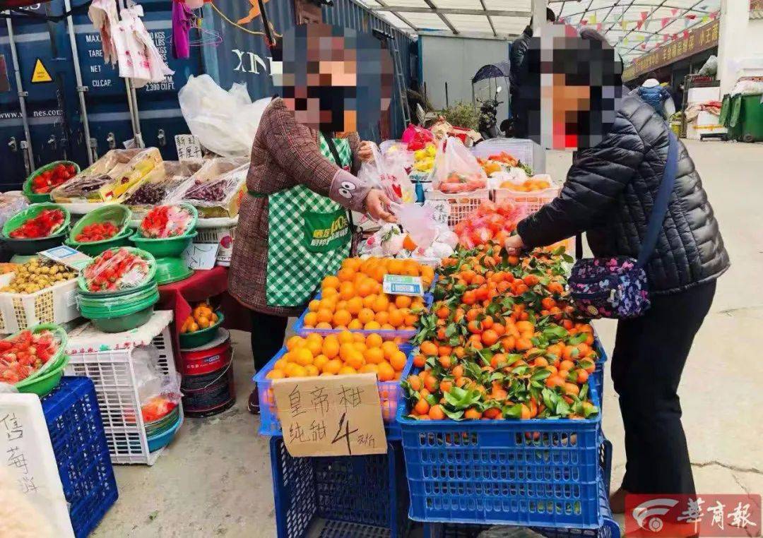 市民反映买到染色橘子记者买了八种测试发现两种掉色