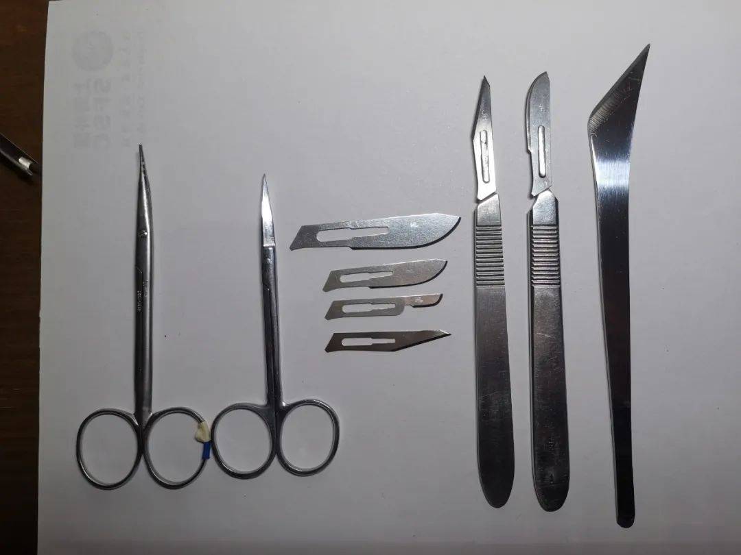 如何正确的使用手术刀 9f1318eb9e7d4b5190ede17f1f721879.jpeg