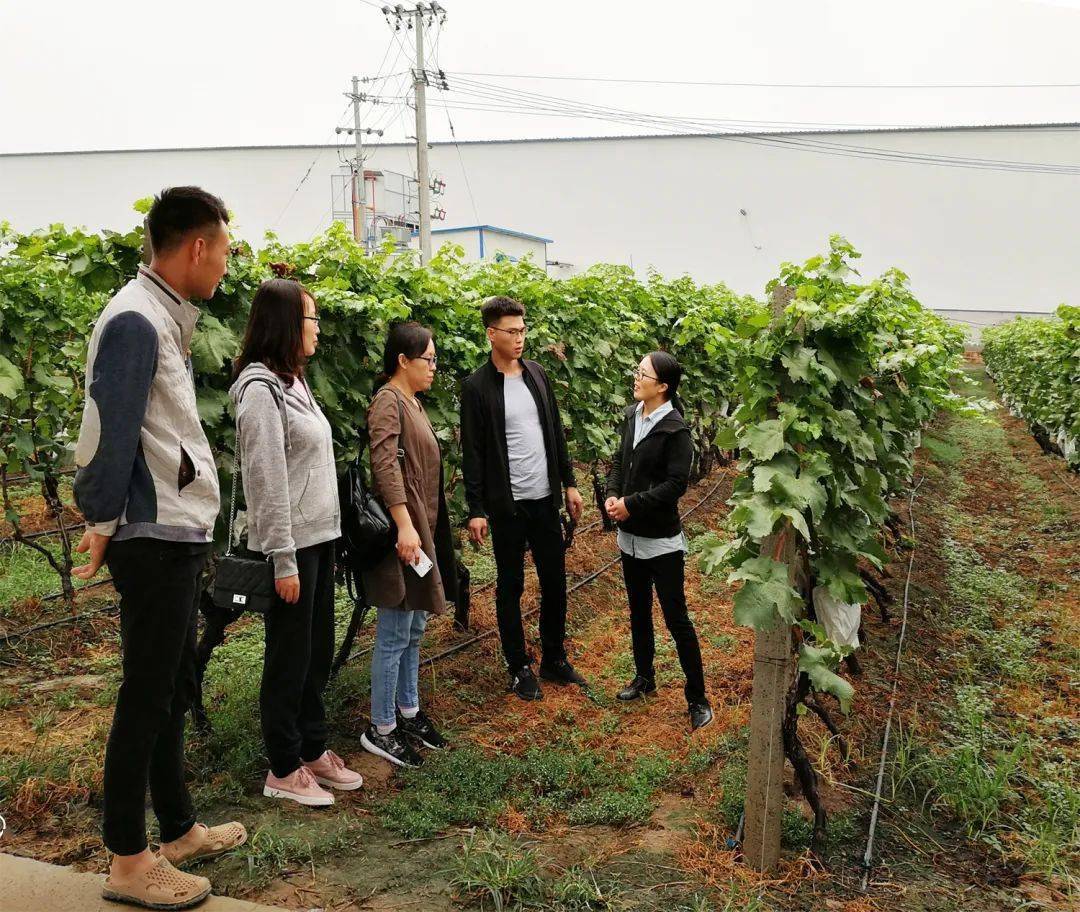 薛菊茹家在文昌街道,从小在这里长大,在河南大学外语系读书时入党.