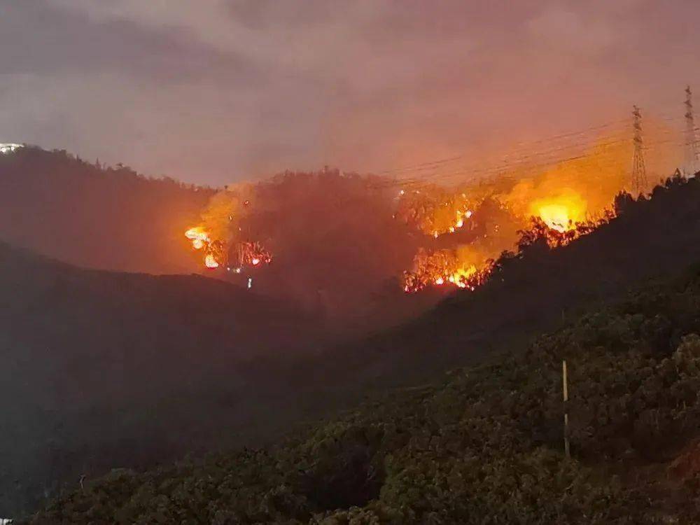 深圳万事通大南山山火现场明火全部扑灭起火原因正在调查中