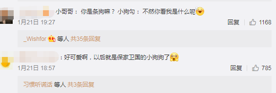 冰天雪地里有個小傢伙在瑟瑟發抖，走近一看原來是…… 萌趣萌寵 第9张