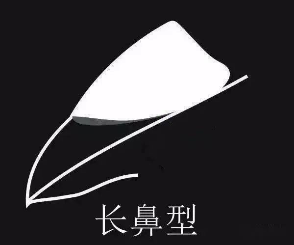 这种鼻型是典型的快速鸽图