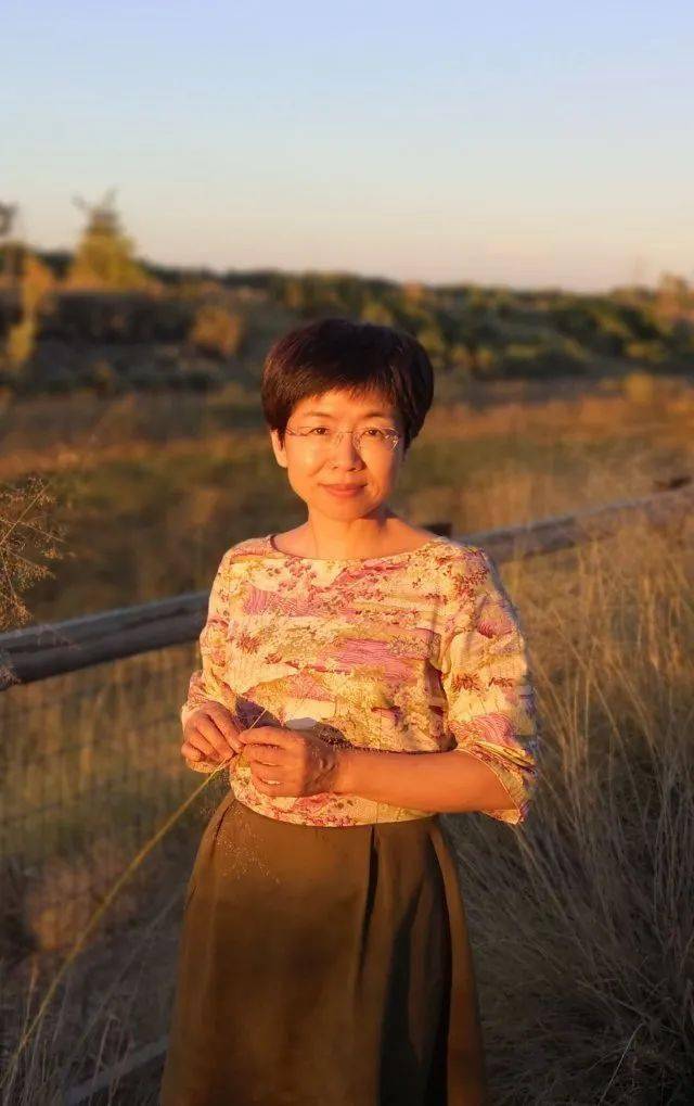 赵冬梅兢兢业业宋神宗励精图治却打开了北宋衰亡之门