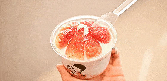 在口腔中各自散发出自己的魅力 清新感爆发 图片by@蜜桃冰茶 当季