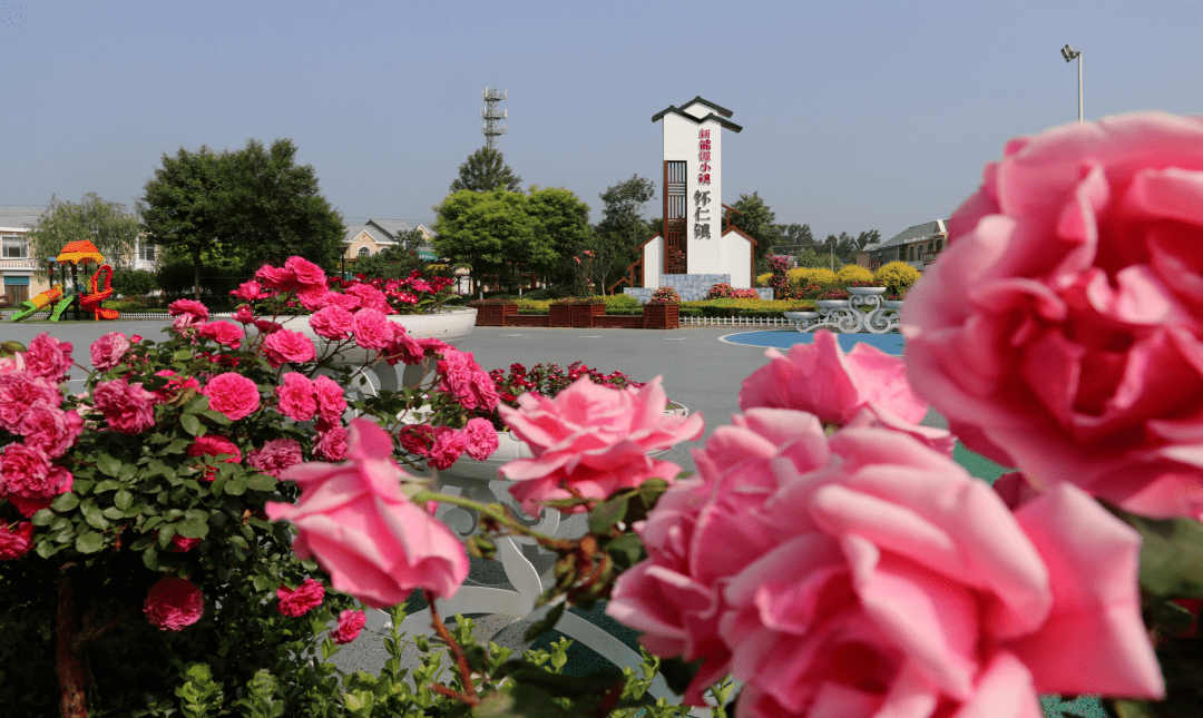 怀仁镇迅速传达贯彻县委经济工作会议精神会精神