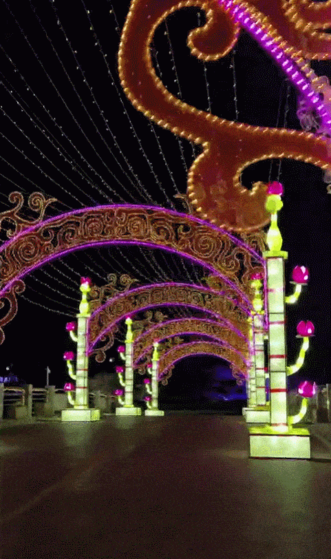 聊城月季公园灯会图片