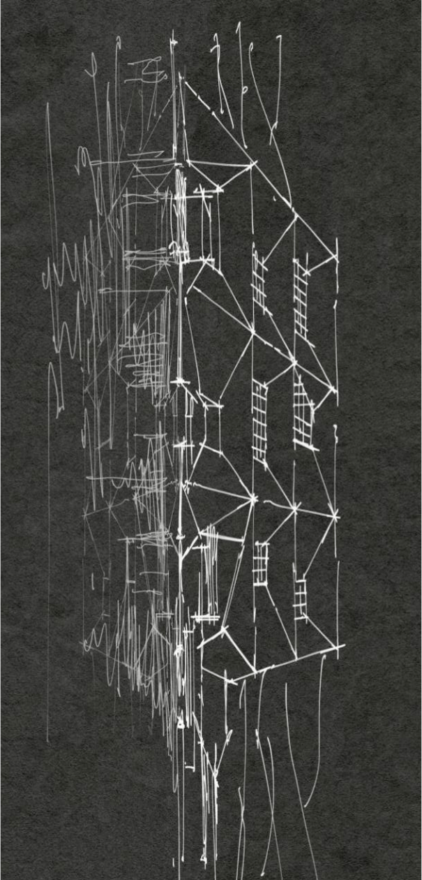 主要结构线,基本轮廓