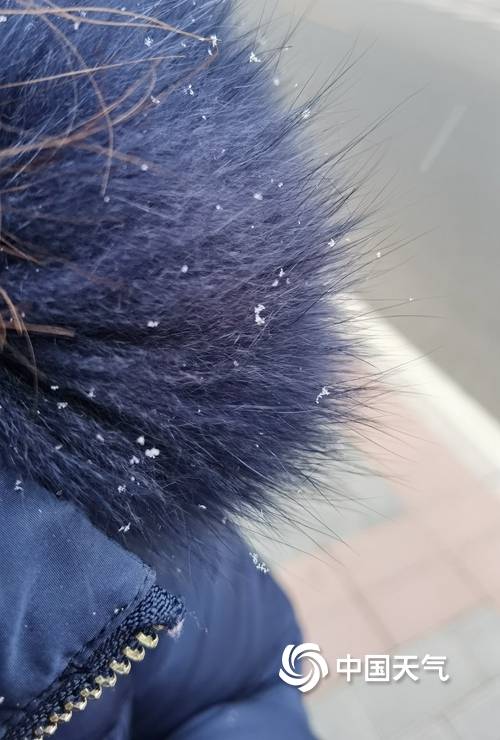 北京冬雪飞舞飘扬（图）