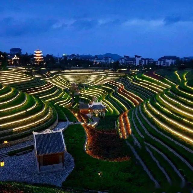 貴州這個公園又火了古彝梯田全國唯一城中花海梯田